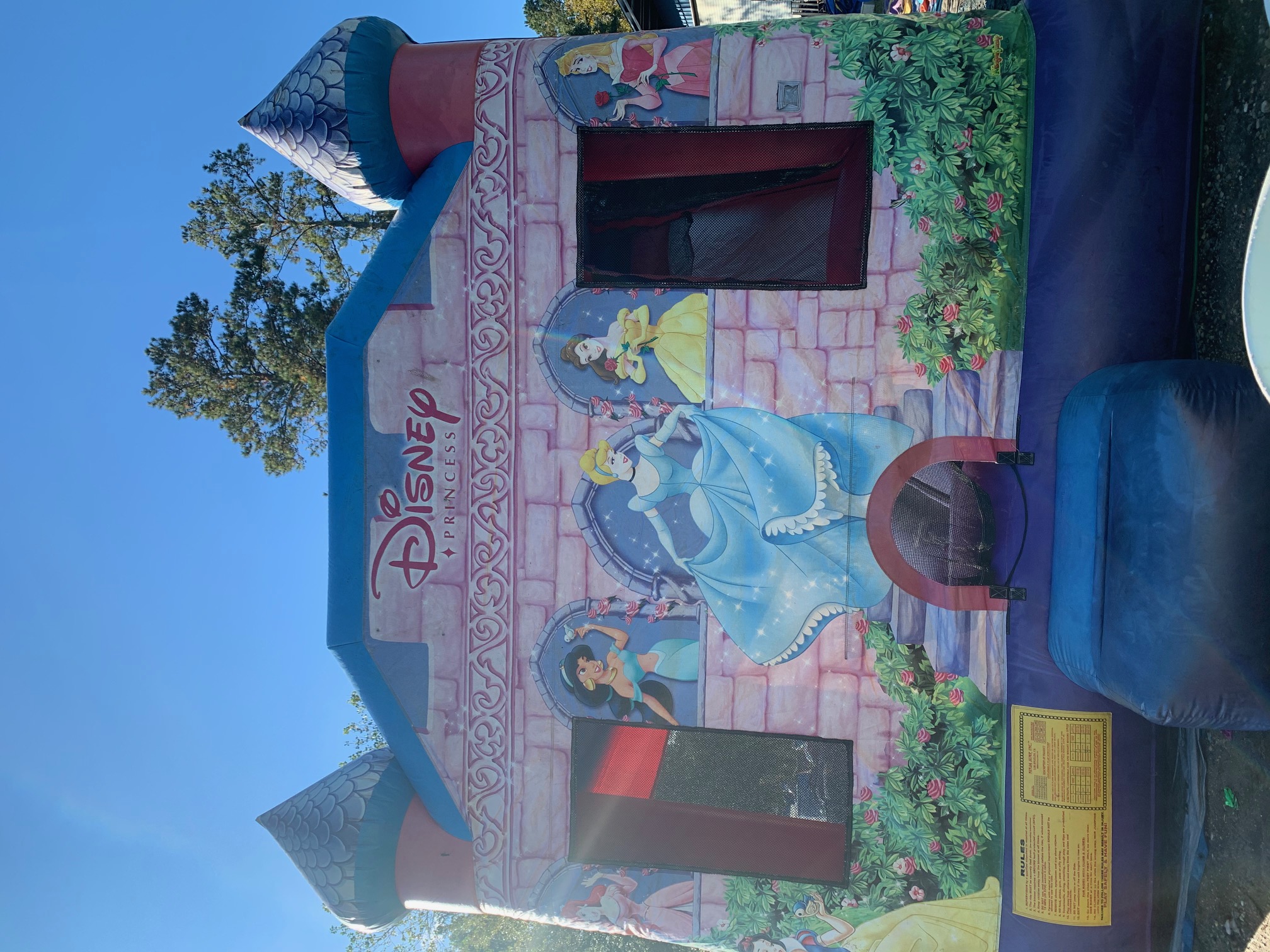 Disney Princess Combo