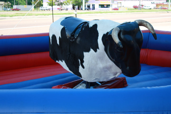 Mechanical Bull