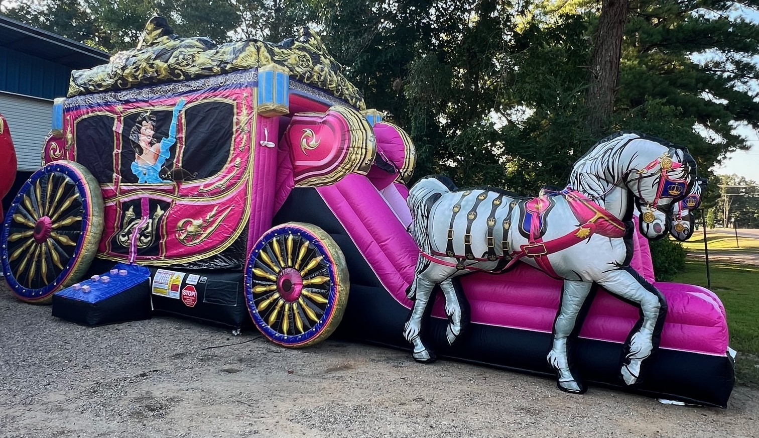 Princess Carriage Combo  