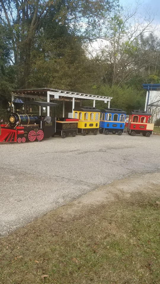 Electric Funtime Express Train Electric Funtime Express Train